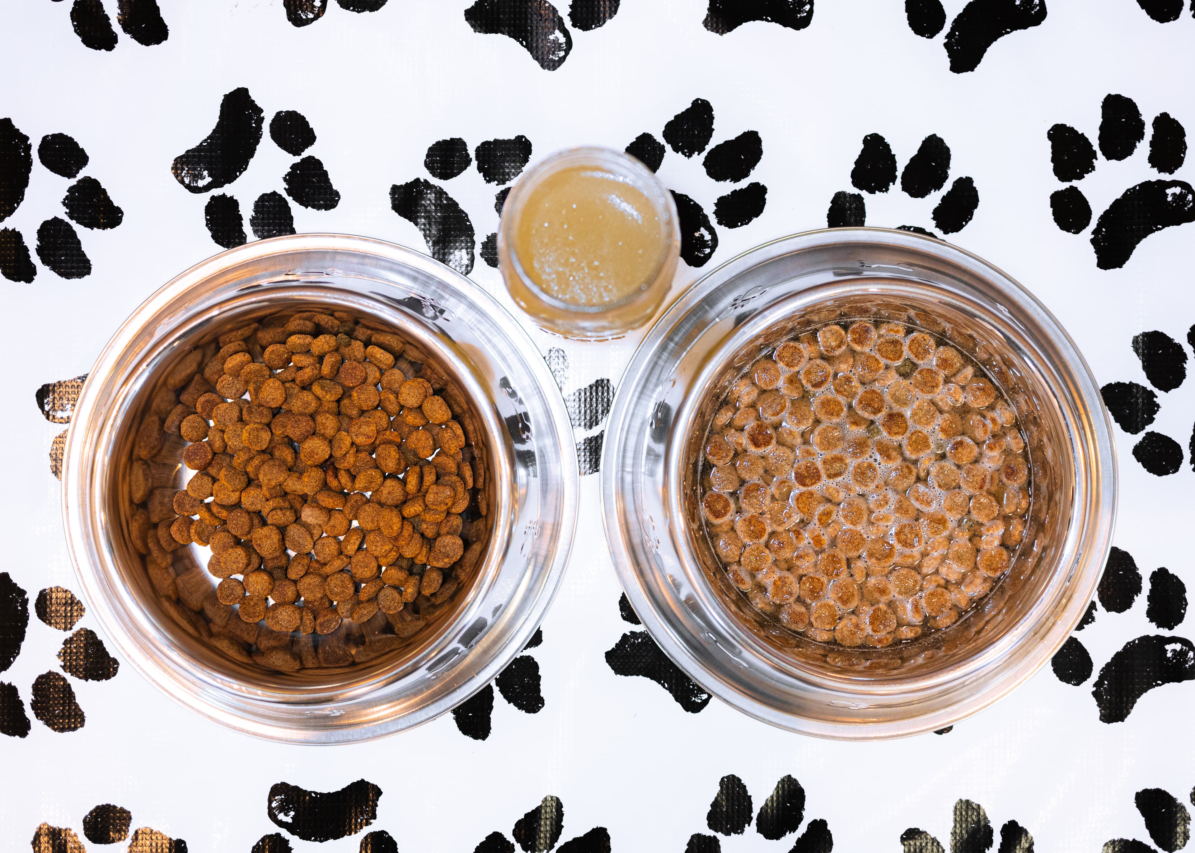 Dogs enjoying the benefits of bone broth